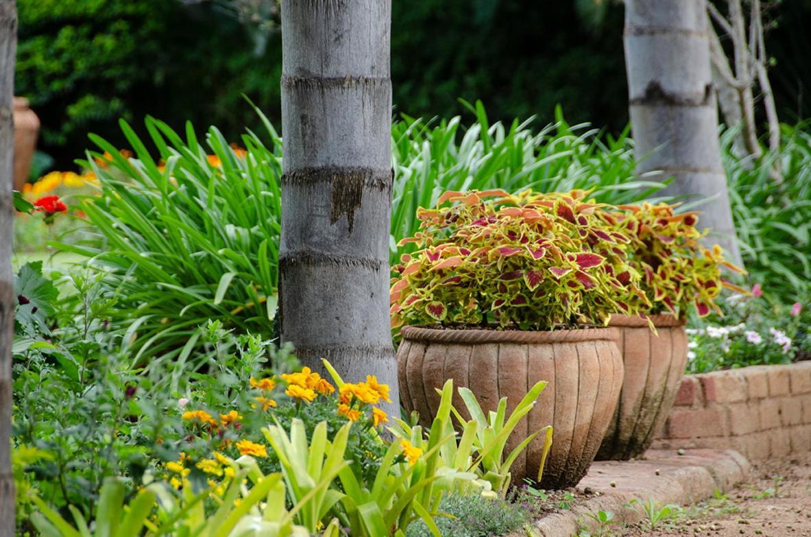Hotel Hillside Manor Bulawayo Esterno foto